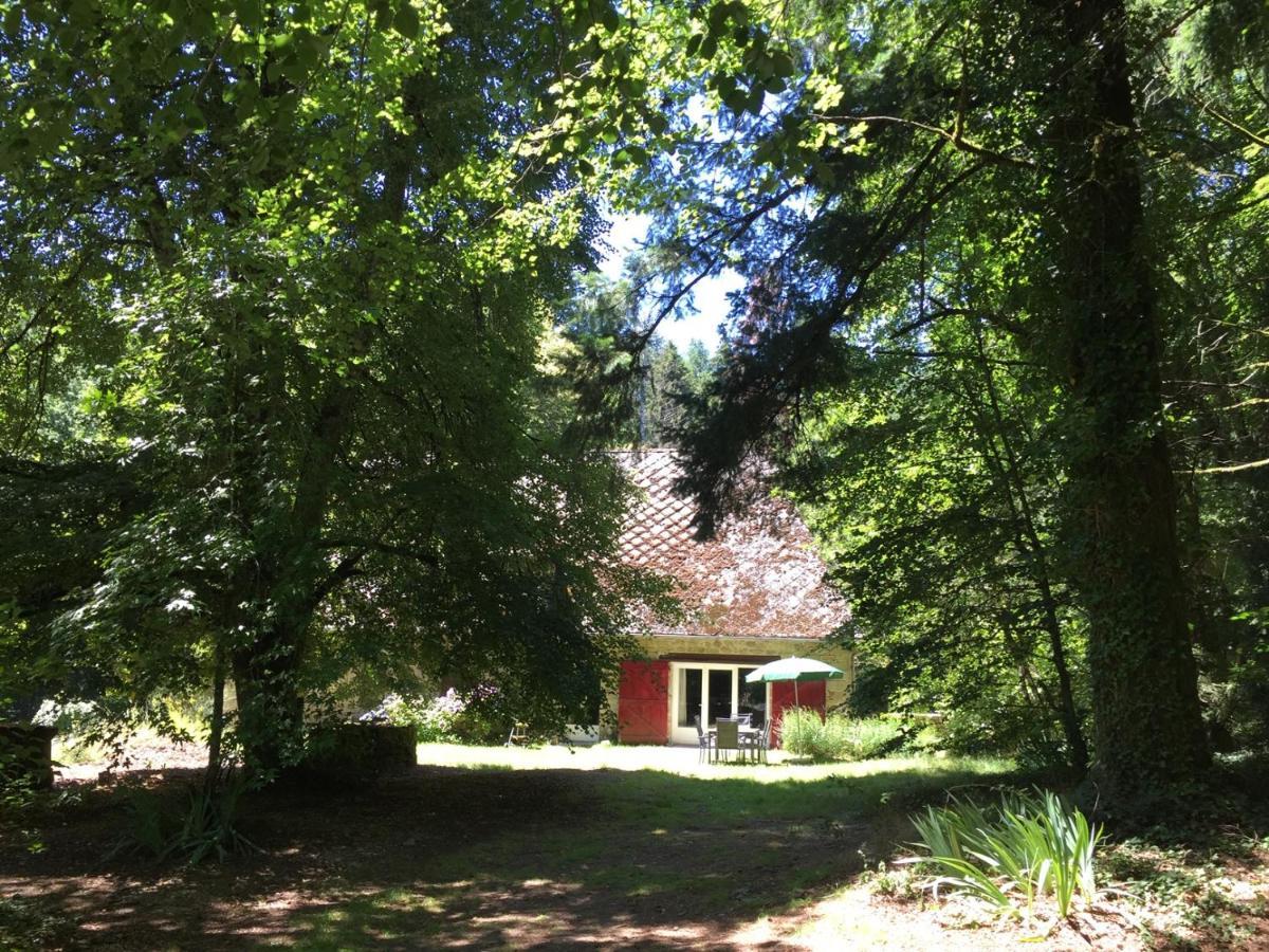 Gites Chateau Le Bois Saint-Julien-aux-Bois Εξωτερικό φωτογραφία