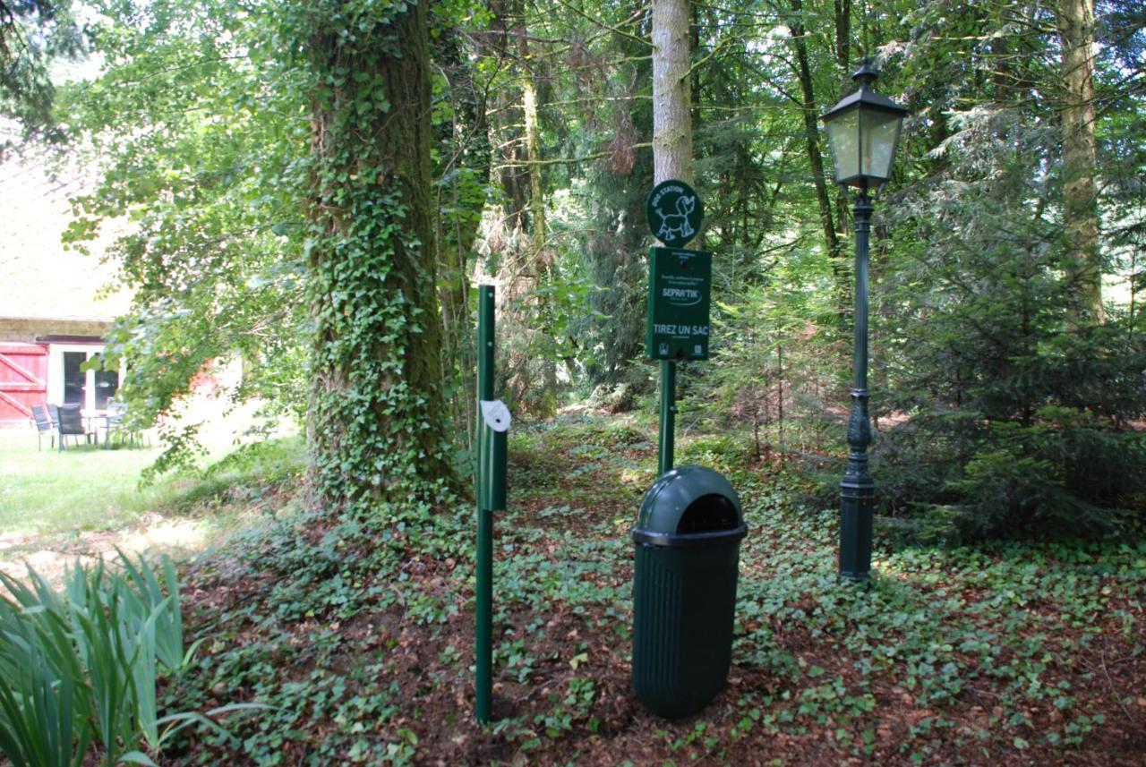 Gites Chateau Le Bois Saint-Julien-aux-Bois Εξωτερικό φωτογραφία