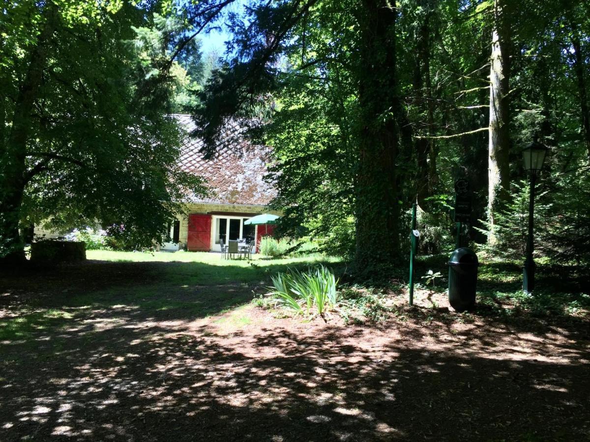 Gites Chateau Le Bois Saint-Julien-aux-Bois Εξωτερικό φωτογραφία