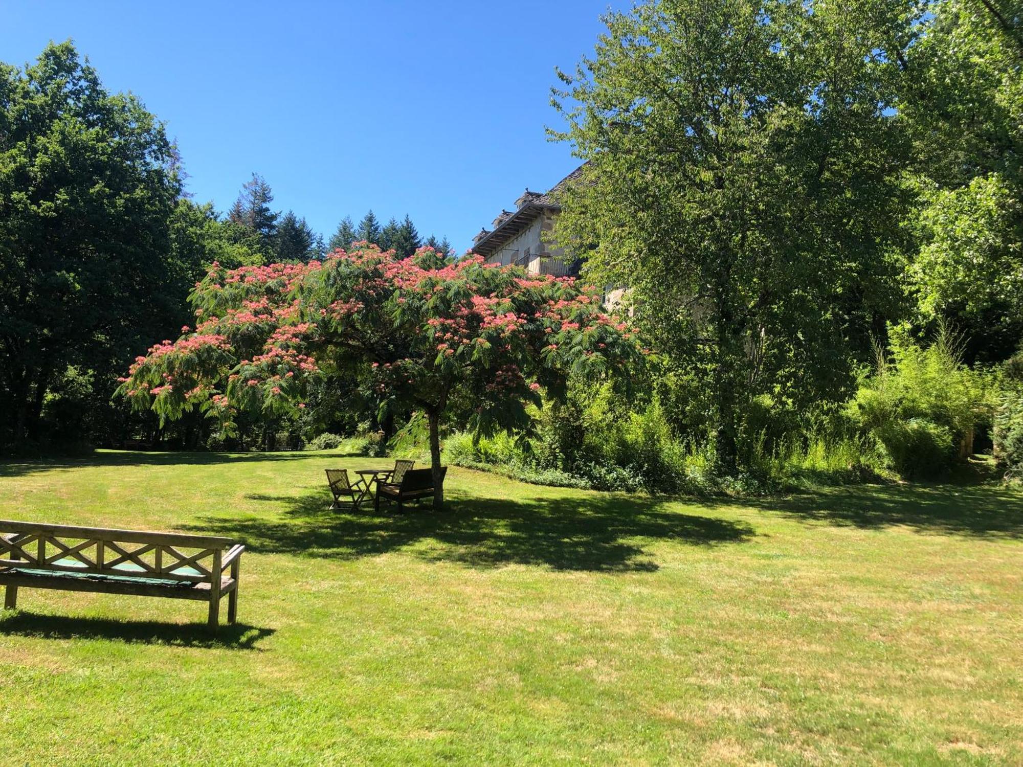 Gites Chateau Le Bois Saint-Julien-aux-Bois Εξωτερικό φωτογραφία