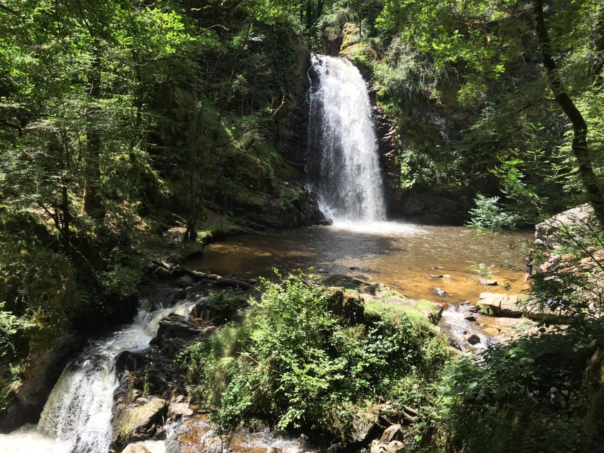 Gites Chateau Le Bois Saint-Julien-aux-Bois Εξωτερικό φωτογραφία